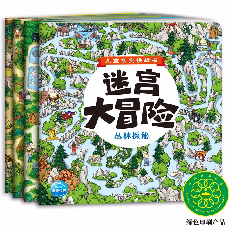 儿童视觉挑战书：：迷宫大冒险