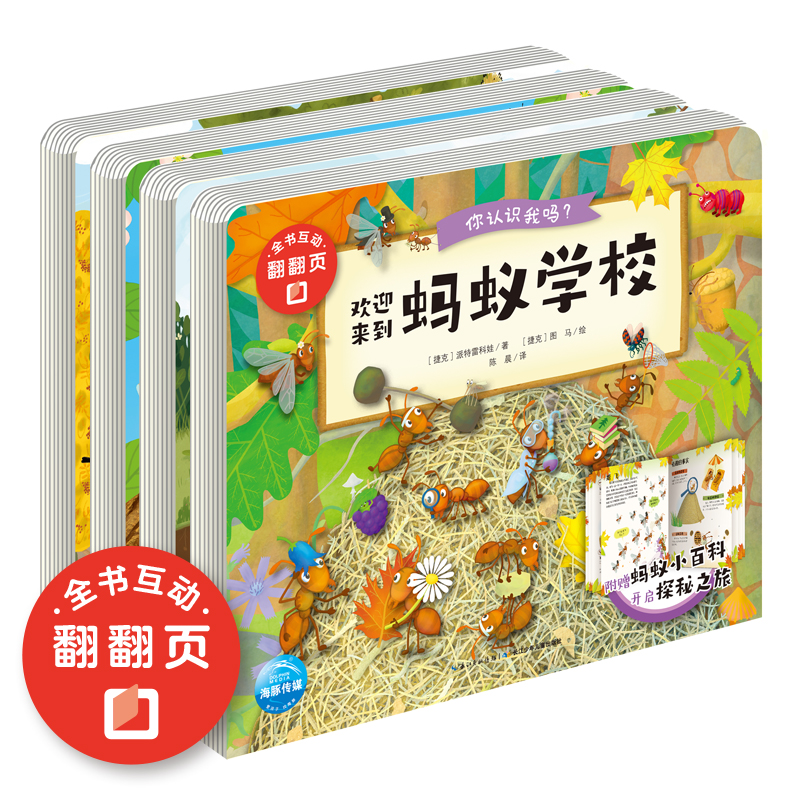 你意识我吗？（套系）